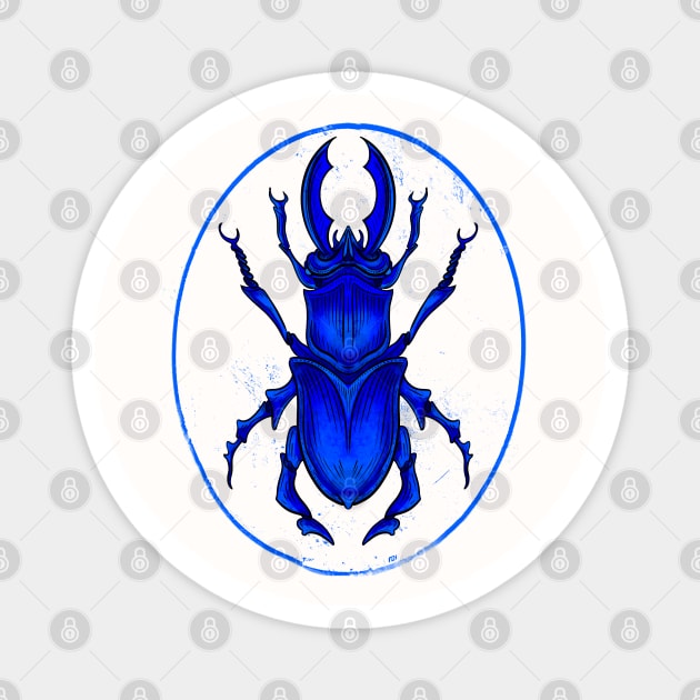 Bleu Beetle, scientific illustration drawing Magnet by Yety